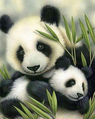 Malování podle čísel Panda a mládě 410ZP