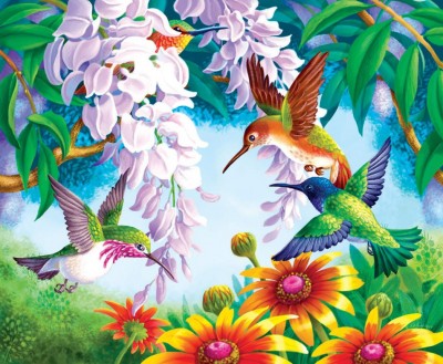 Malování podle čísel Kolibříci s květy