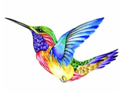 Malování podle čísel Barevný kolibřík