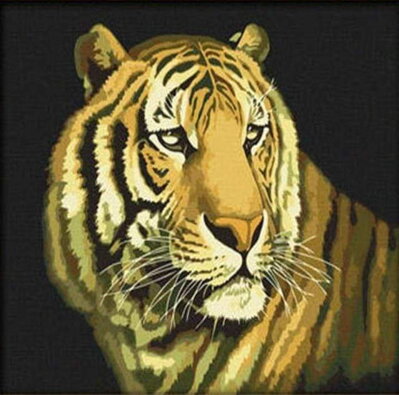 Malování podle čísel Bengálský tygr