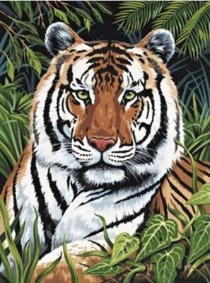 Malování podle čísel - Tygr v trávě