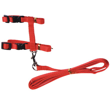 Nylonový postroj s vodítkem pro kočku červený Nylonový postroj s vodítkem pro kočku červený
