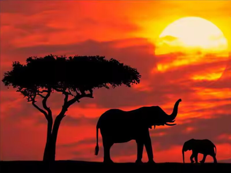 Malování podle čísel Afrika A303 Malování podle čísel Afrika A303