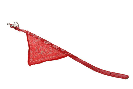 Obojek se šátkem červený 20-26 cm 2. jakost Obojek se šátkem červený 20-26 cm 2. jakost