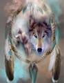 Malování podle čísel Lapač snů s vlky